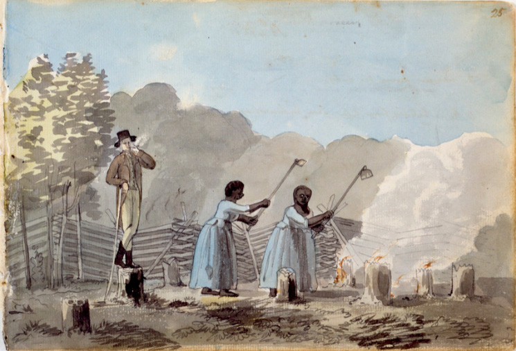 photograph of a watercolor pen on paper, depicition of an overseer and enslaved women working